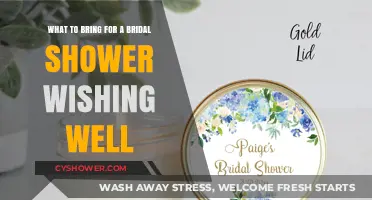 Bridal Shower Wishing Well: Thoughtful Gift Ideas to Bring