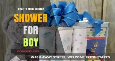 Essential Gifts for a Baby Boy Shower: A Comprehensive Guide