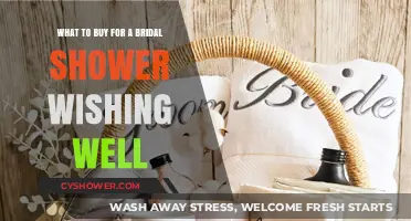 Bridal Shower Wishing Well: Thoughtful Gift Ideas for the Couple