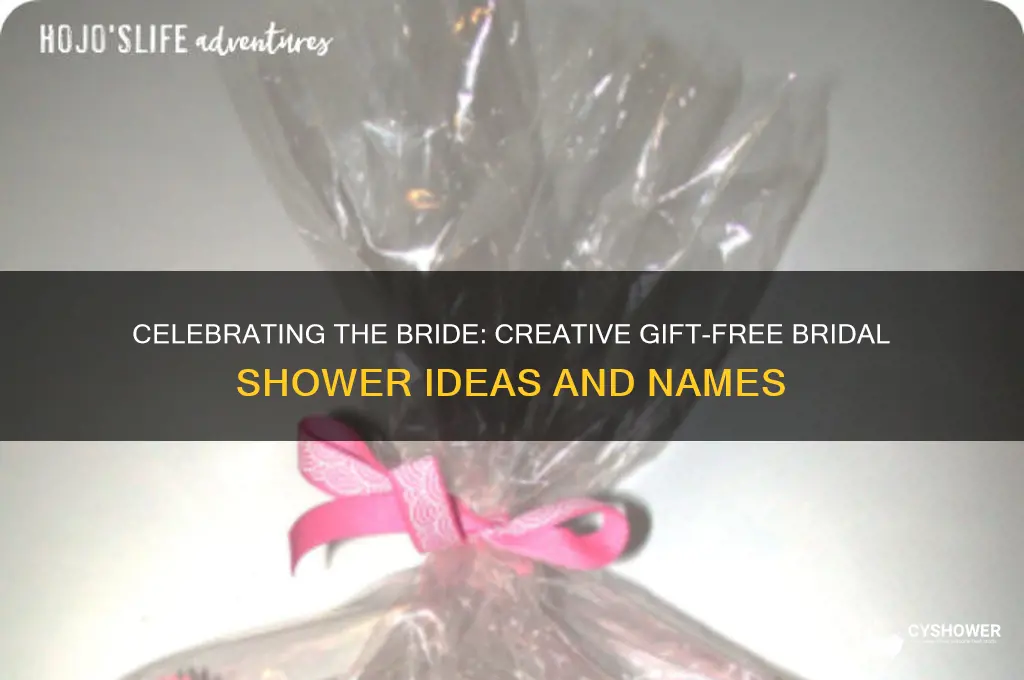 what to call a bridal shower without gifts