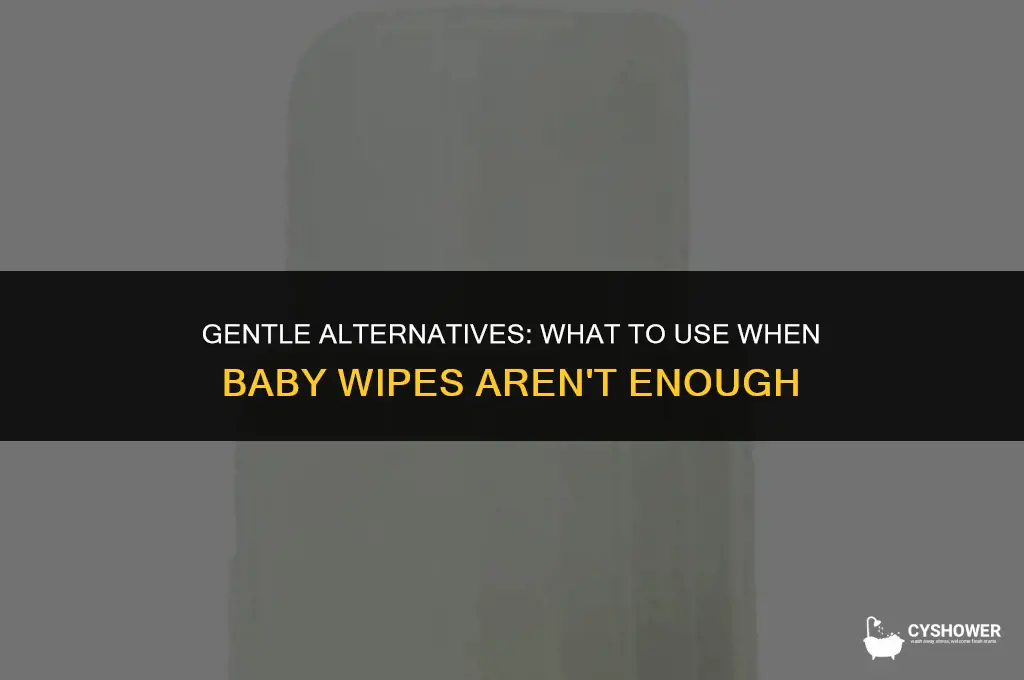 what to clean with if you can
