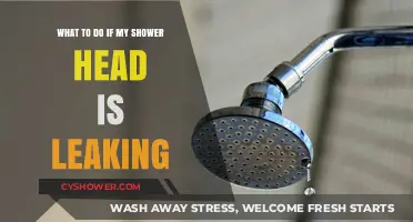 Fixing a Leaky Shower Head: Quick DIY Solutions and Tips