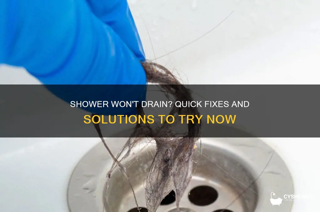 what to do if my shower won