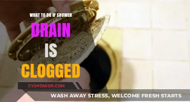 Quick Fixes for a Clogged Shower Drain: DIY Solutions and Tips