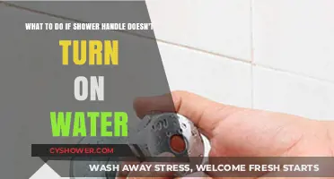 Shower Handle Not Working? Quick Fixes to Restore Water Flow