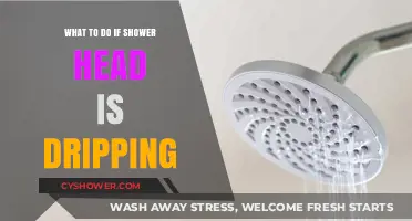 Fix a Dripping Shower Head: Quick and Easy DIY Solutions