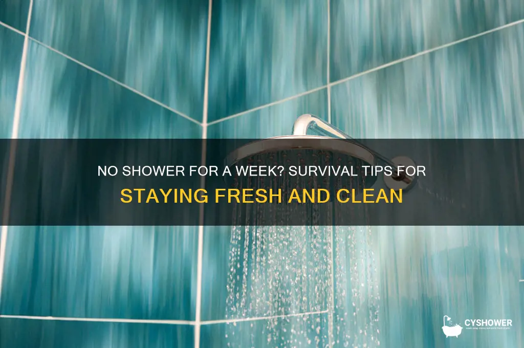 what to do if you can