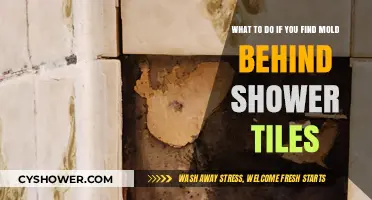 Discovering Mold Behind Shower Tiles? Here’s How to Tackle It
