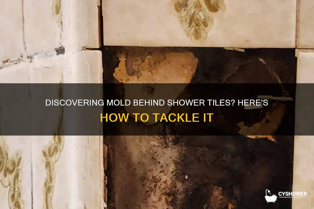 what to do if you find mold behind shower tiles
