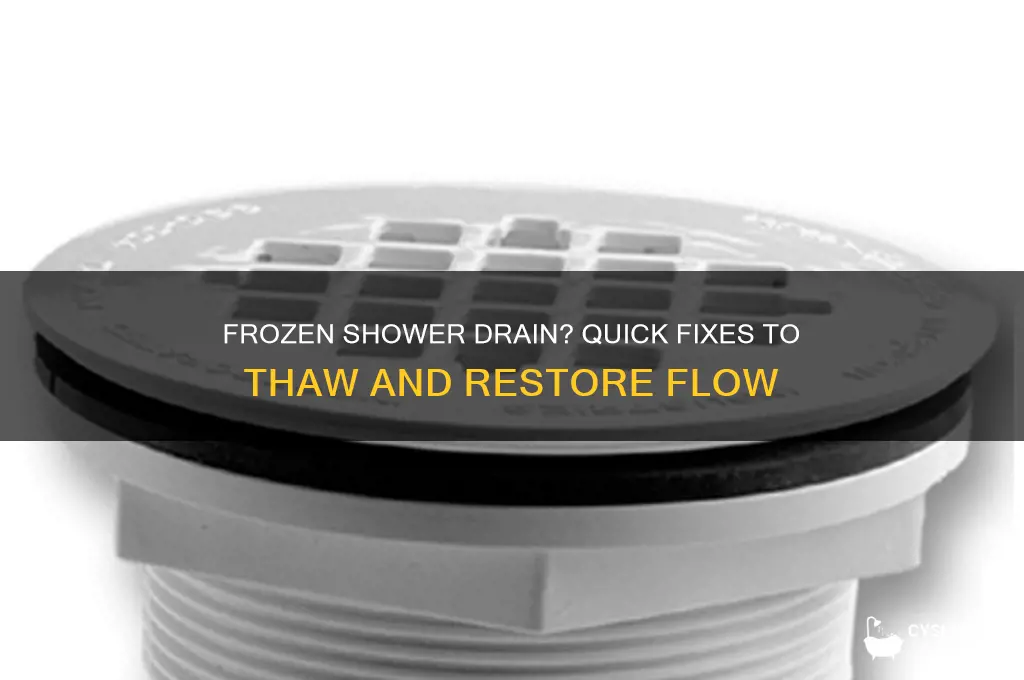 what to do if your shower drain is frozen