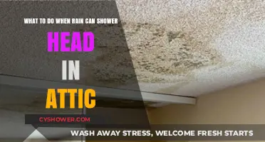 Fixing Attic Shower Head Leaks: Quick Solutions for Rainy Days