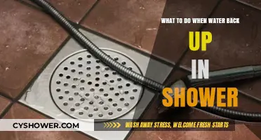 Quick Fixes for Shower Water Backup: Drain Solutions and Prevention Tips
