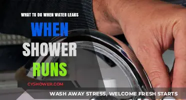 Quick Fixes for Shower Leaks: Stop Water Damage Now
