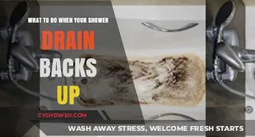 Quick Fixes for a Clogged Shower Drain: Unclog Fast!
