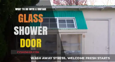 Revamp Your Vintage Glass Shower Door: Creative Upcycling Ideas