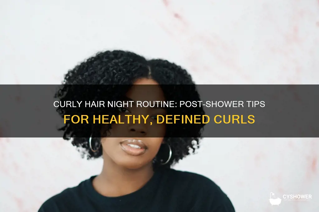 what to do with curly hair after shower before bed