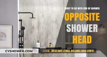 Maximize Your Shower Space: Creative Uses for the End Opposite the Showerhead