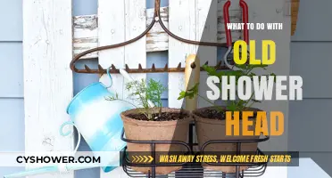 Creative Ways to Repurpose Your Old Shower Head: Eco-Friendly Ideas