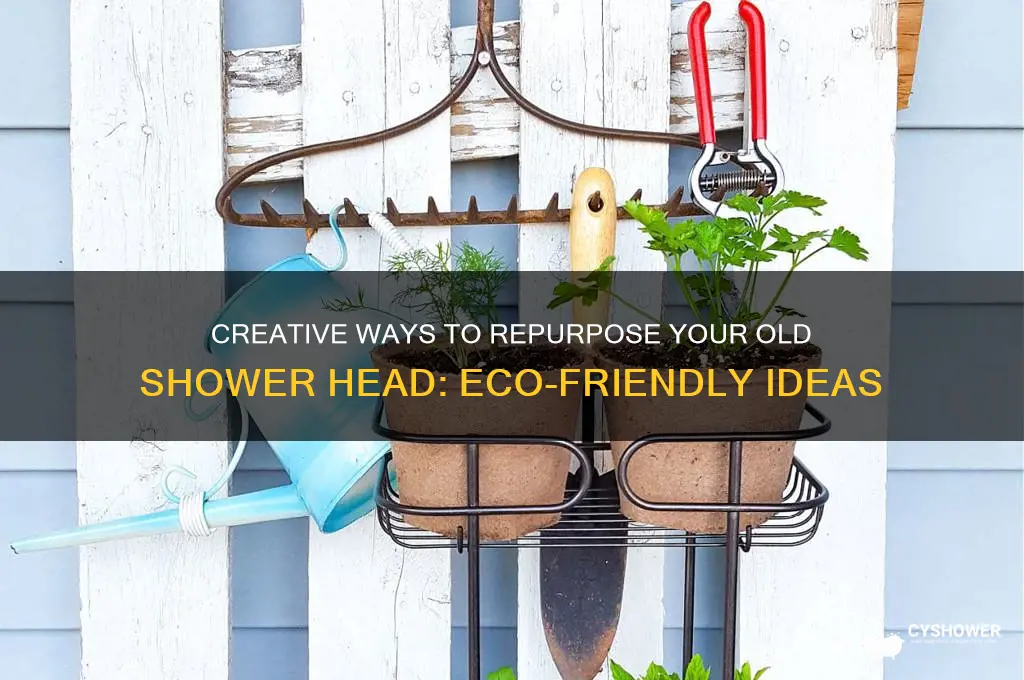 what to do with old shower head