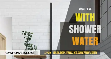 Eco-Friendly Shower Water Reuse: Creative Solutions for Conservation