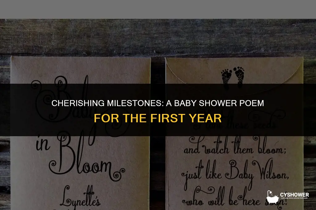 what to expect the first year baby shower poem