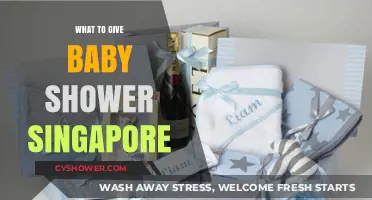 Unique Baby Shower Gift Ideas for Singaporean Moms-to-Be