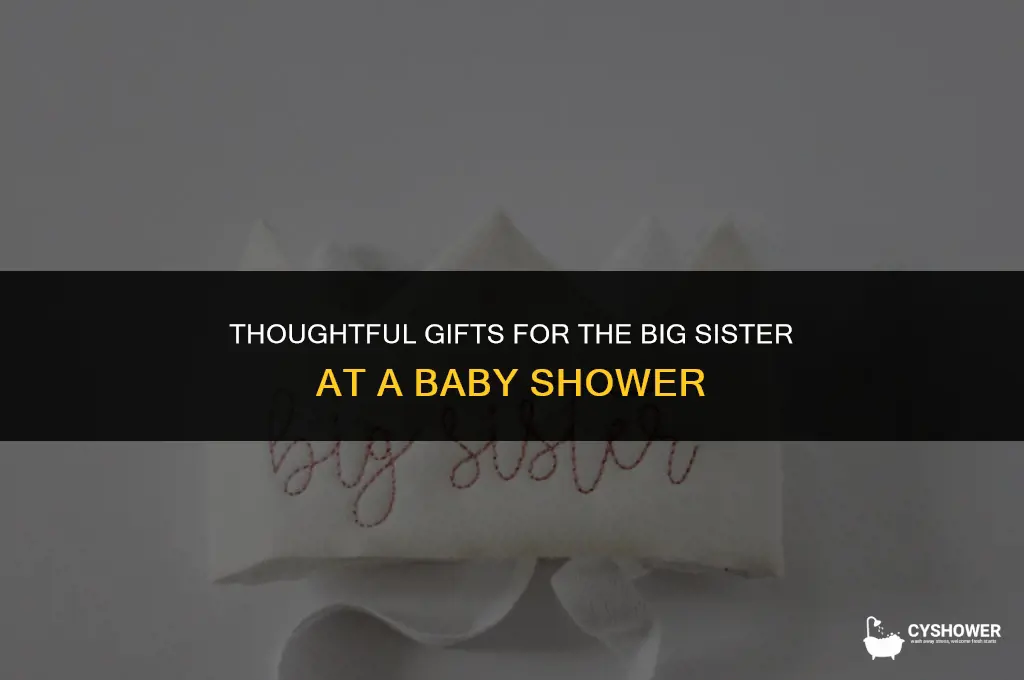 what to give big sister at baby shower