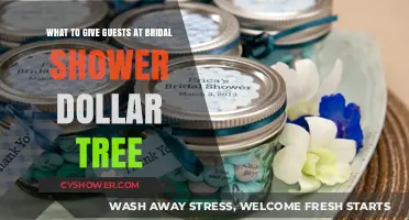 Budget-Friendly Bridal Shower Favors: Dollar Tree Guest Gift Ideas