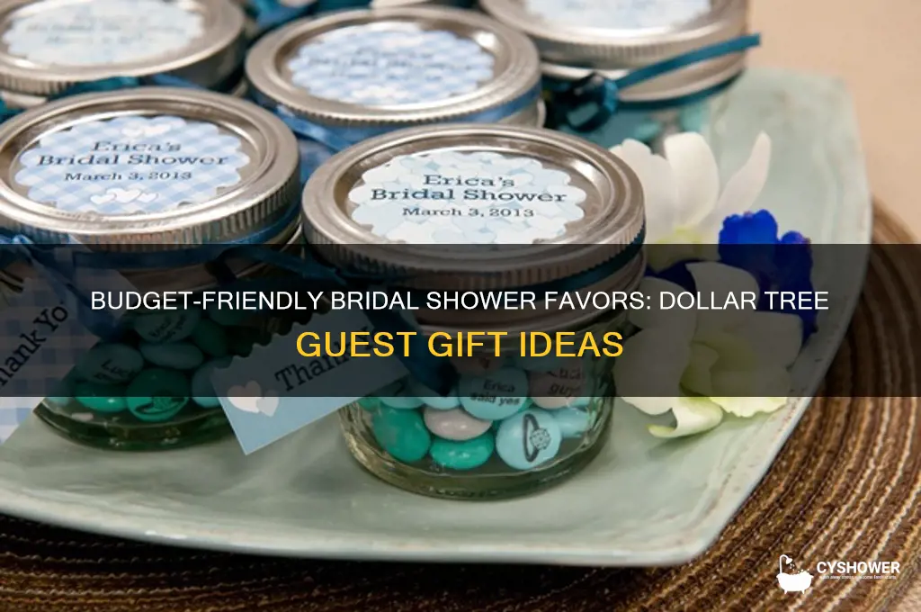 what to give guests at bridal shower dollar tree