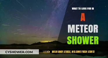 Stargazing Tips: Key Features to Spot in Meteor Showers