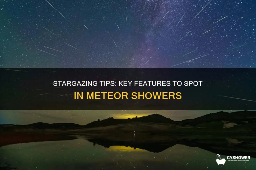 what to look for in a meteor shower