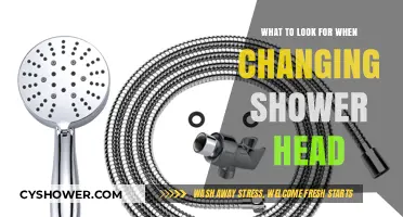 Upgrade Your Shower: Key Features to Consider When Changing Shower Heads