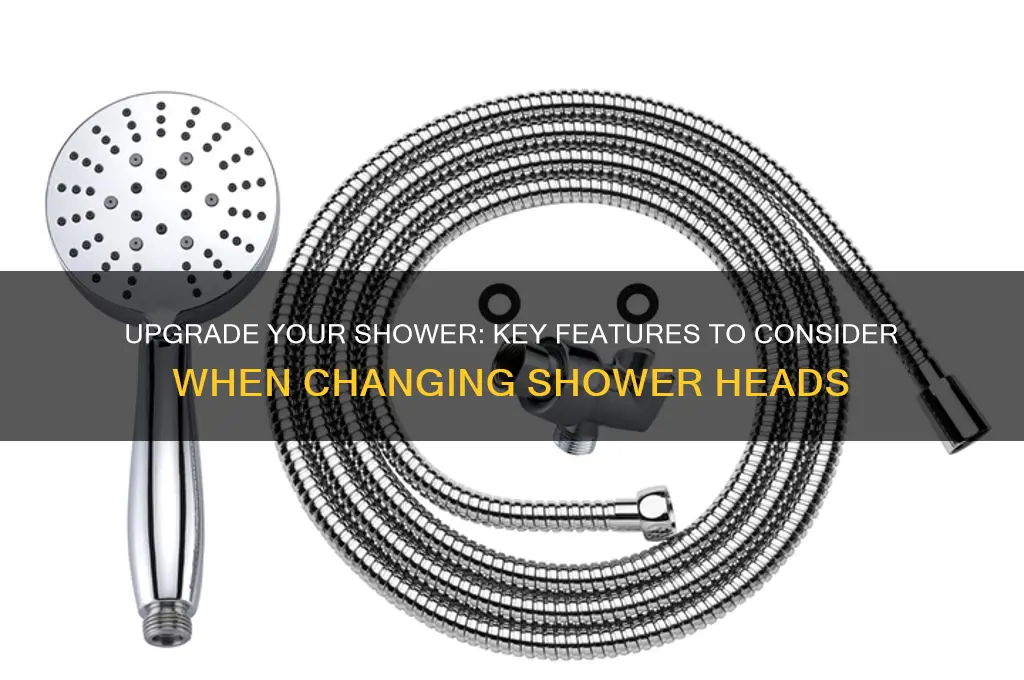 what to look for when changing shower head