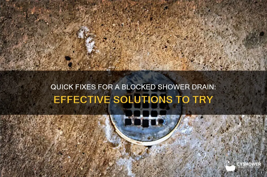 what to put down a blocked shower drain