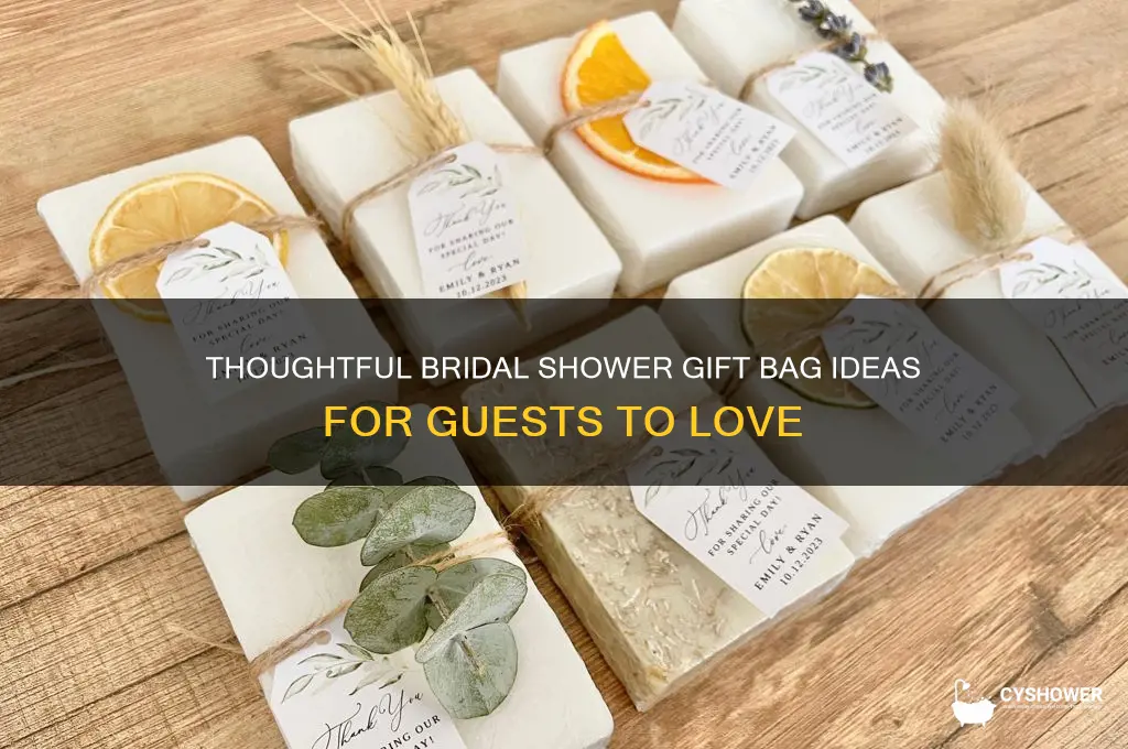 what to put in a bridal shower gift bag