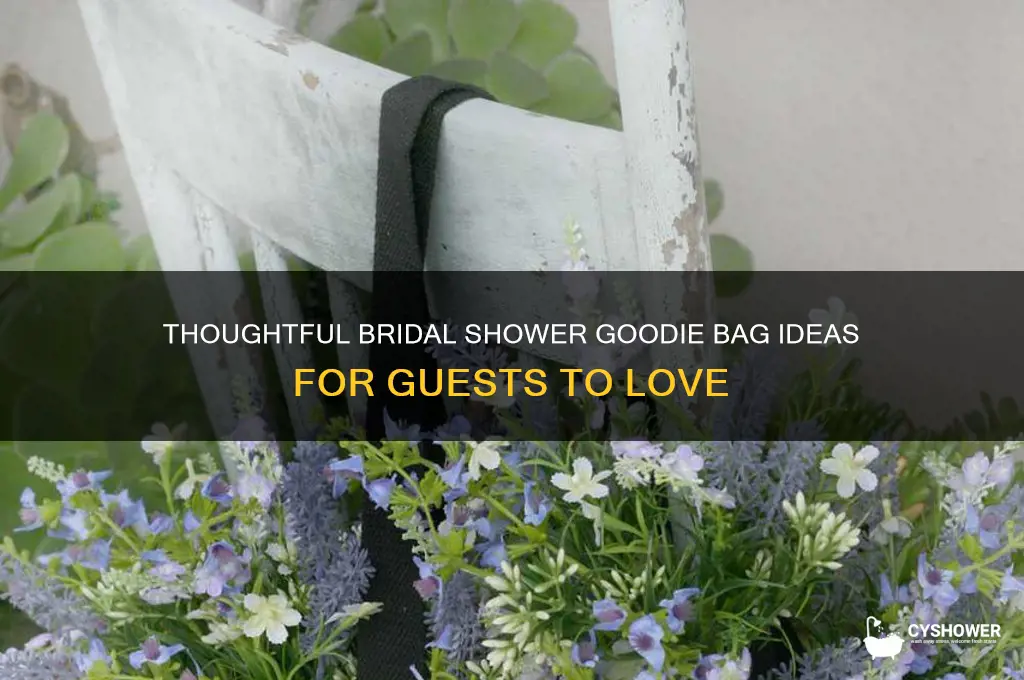 what to put in a bridal shower goodie bag