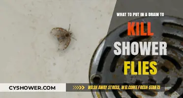 Effective Drain Solutions to Eliminate Shower Flies Permanently