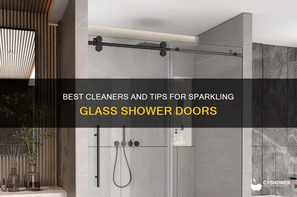 what to put on glass shower doors