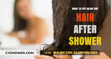 Post-Shower Hair Care: Best Products for Dry Hair Hydration