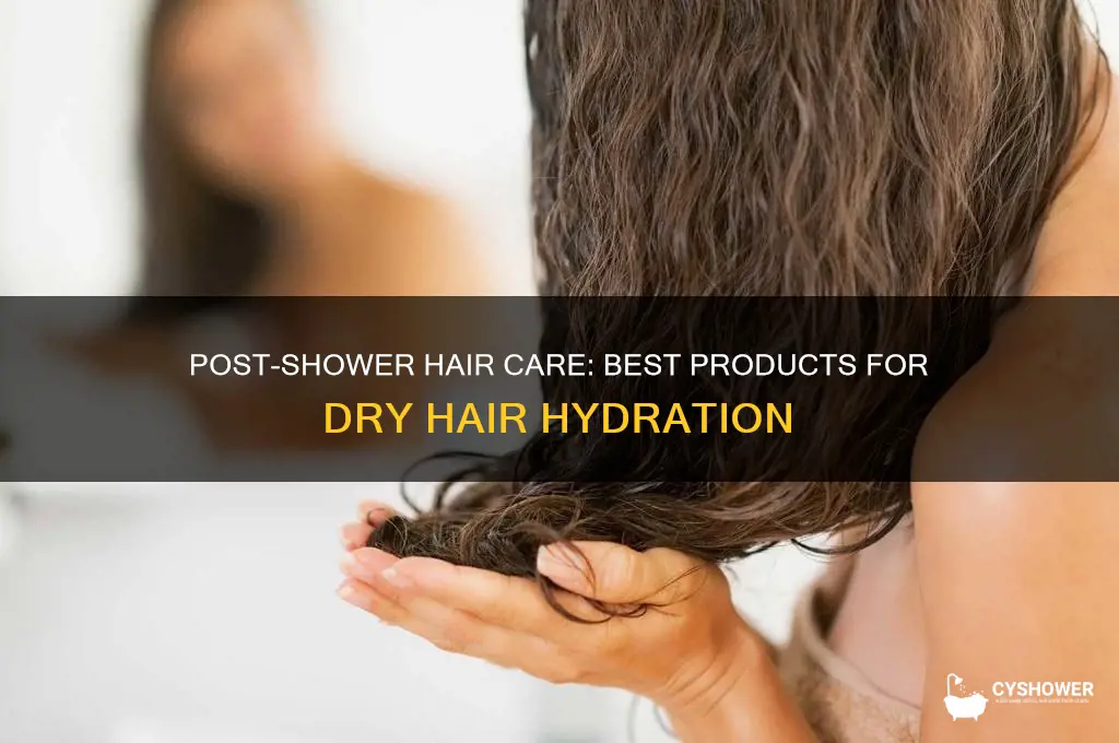 what to put on my dry hair after shower