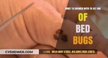 Effective Shower Solutions to Eliminate Bed Bugs and Prevent Infestations