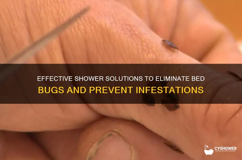 what to shower with to get rid of bed bugs