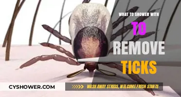 Effective Tick Removal: Best Shower Products to Safely Eliminate Ticks