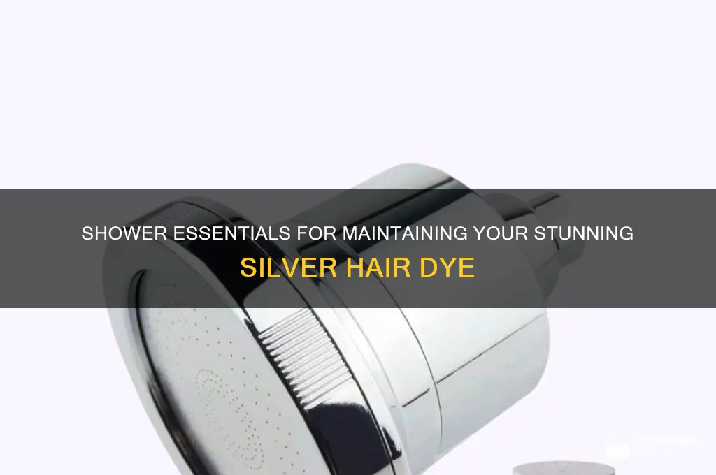 what to shower with when you dye your hair silver