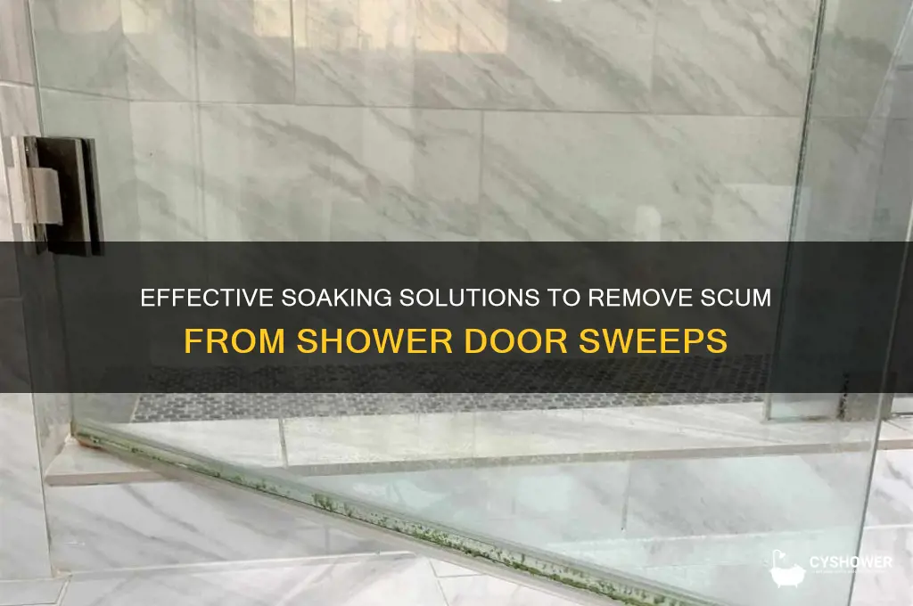 what to soak shower door sweep in to remove scum