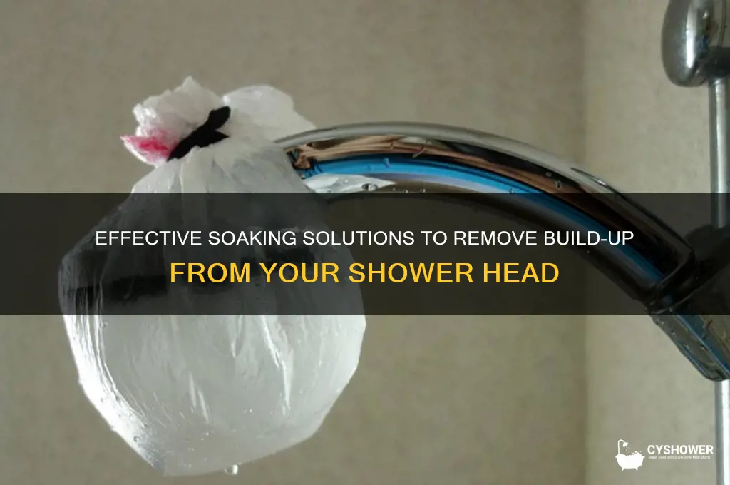 what to soak shower head in to remove build up