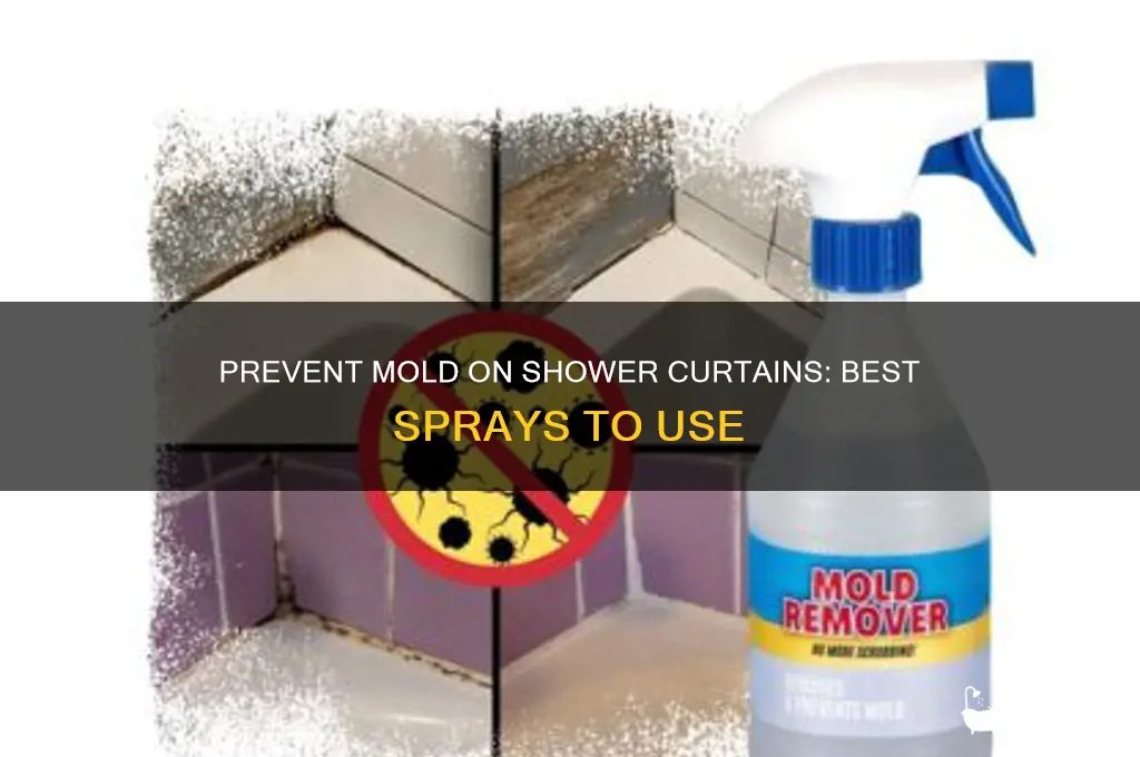 what to spray on shower curtain to prevent mold