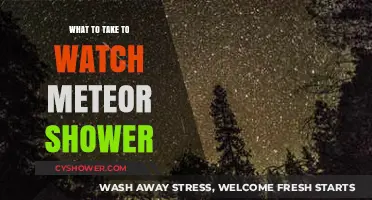 Essential Gear for a Magical Meteor Shower Viewing Experience