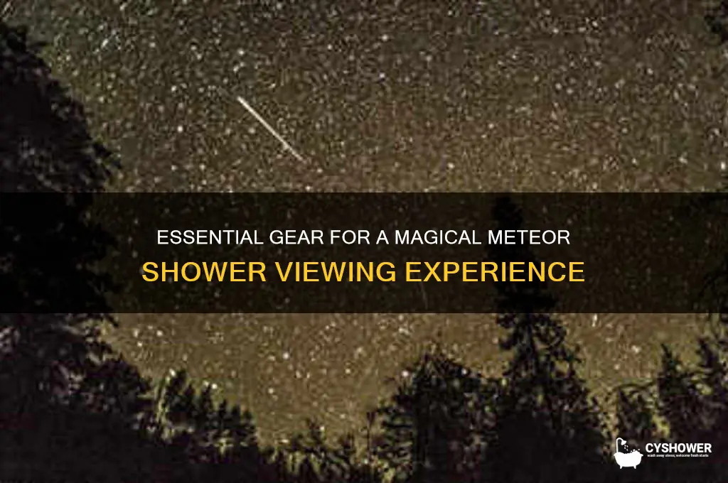 what to take to watch meteor shower