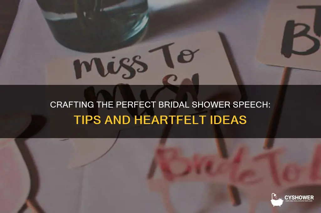 what to write in a bridal shower speech
